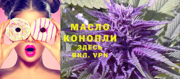 Альфа ПВП Няндома
