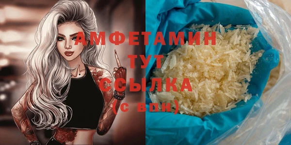 Альфа ПВП Няндома