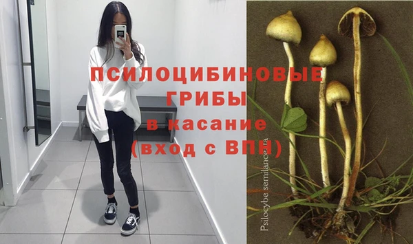 кокаин перу Аркадак