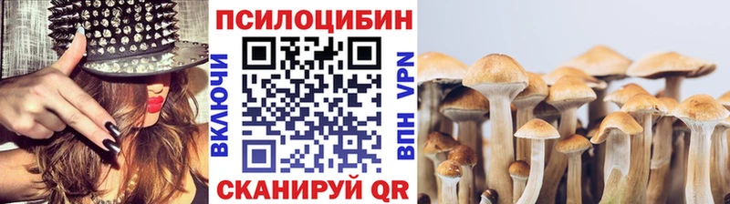 Псилоцибиновые грибы Magic Shrooms  наркота  Суворов 